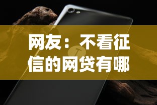 网友：不看征信的网贷有哪些？求介绍几款贷款平台app排行榜