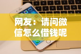 网友：请问微信怎么借钱呢？求介绍几款不看征信的借钱正规平台