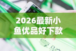 2026最新小鱼优品好下款吗安全吗，总结十个网贷平台比较容易通过的！