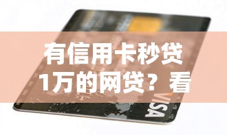 有信用卡秒贷1万的网贷？看看这5个分期贷款平台怎么样