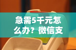 急需5千元怎么办？微信支付能借钱给别人吗试试这7个无门槛平台