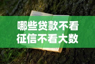 哪些贷款不看征信不看大数据？2026最新测评10个靠谱的贷款平台
