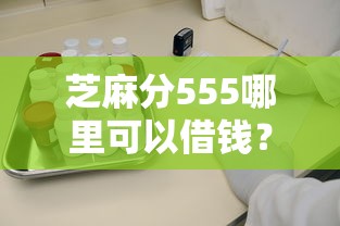 芝麻分555哪里可以借钱？9个靠谱大学生可以使用的口子推荐