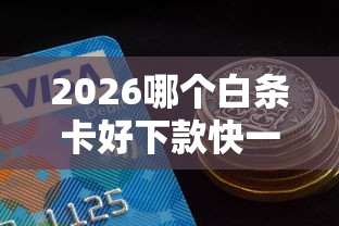 2026哪个白条卡好下款快一点，差1万元就选这6个平台