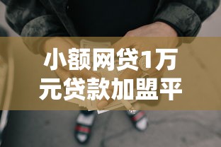 小额网贷1万元贷款加盟平台，501个借钱平台的5个平台介绍
