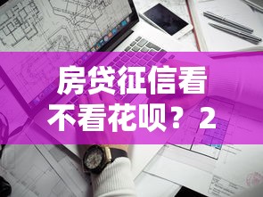 房贷征信看不看花呗？2026最新测评10个靠谱的借钱平台