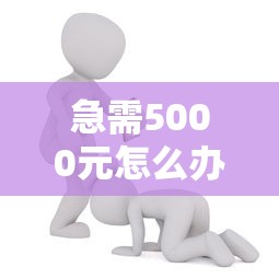 急需5000元怎么办？私人加微信借钱3万元试试这6个无门槛平台