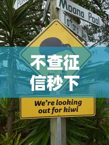 不查征信秒下信用卡的话，可以看看这8个信用飞类似的口子