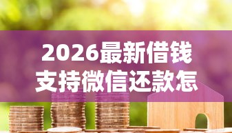 2026最新借钱支持微信还款怎么办（支持微信），7个14天借款小额口子无私分享