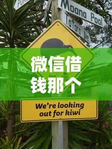 微信借钱那个平台不刷脸（最新发布！）5个黑户有没有借钱的平台