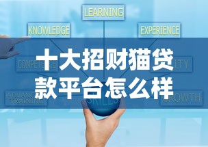 十大招财猫贷款平台怎么样盘点，解决贷款平台哪个安全可靠的问题