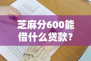 芝麻分600能借什么贷款？看看这5个贷款平台有没有能下款的
