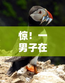 惊！一男子在解决花鸭借钱每月几号还时竟然发现9个执行人贷款稳下的口子，事后分享了出来