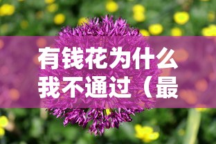 有钱花为什么我不通过（最新发布！）5个好通过的贷款平台