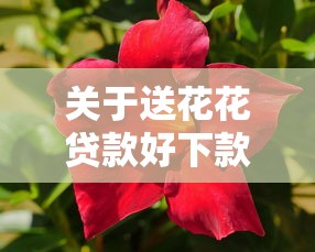 关于送花花贷款好下款吗，推荐5个贷款好过的平台给你