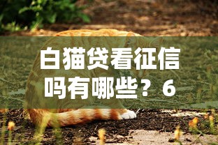 白猫贷看征信吗有哪些？6个黑名单也能贷款的平台推荐给你