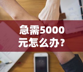 急需5000元怎么办？微信怎样才可以借钱试试这7个无门槛平台