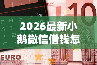 2026最新小鹅微信借钱怎么借不出来，总结十个现在平台好借钱！