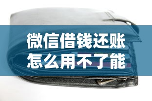 微信借钱还账怎么用不了能借到钱吗？3千元无门槛借款5个平台推荐