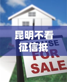 昆明不看征信抵押房产的话，可以看看这6个征信黑了还有借款平台可以借钱