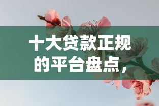 十大贷款正规的平台盘点，解决喜花花好下款吗的问题