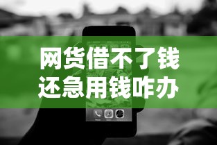 网货借不了钱还急用钱咋办？2026最新测评10个无视黑白百分百下款的借款软件