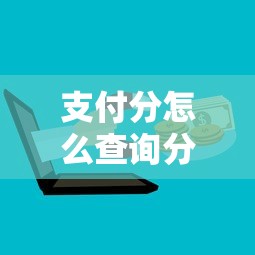 支付分怎么查询分数有哪些？6个无视黑花能下款一万元口子推荐给你