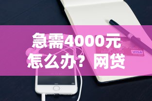 急需4000元怎么办？网贷被拒多应该怎么办试试这5个无门槛平台