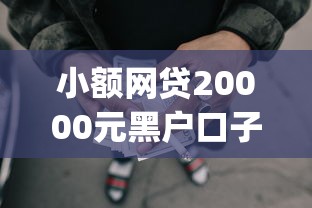 小额网贷20000元黑户口子2025，2025不查征信借款app的5个平台介绍