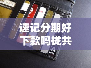 速记分期好下款吗拢共有哪些选择？9个有信用卡就能贷款的平台详解