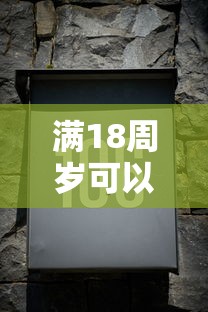 满18周岁可以贷款吗（最新发布！）5个应急贷款平台