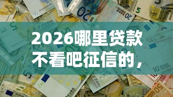 2026哪里贷款不看吧征信的，差5000元就选这5个平台
