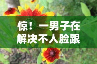 惊！一男子在解决不人脸跟芝麻分的口子时竟然发现8个花户2025能下款的口子，事后分享了出来