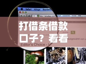 打借条借款口子？看看这8个借得到的贷款平台怎么样
