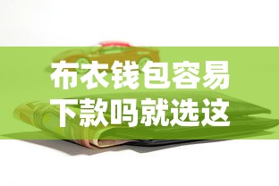 布衣钱包容易下款吗就选这5个3000元2025年借贷新口子