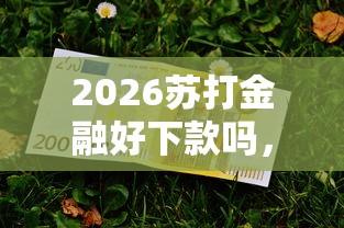 2026苏打金融好下款吗，差1000元就选这6个平台