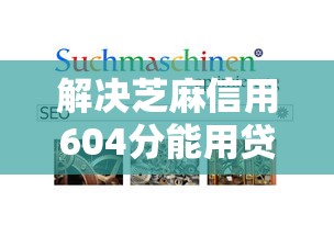 解决芝麻信用604分能用贷款的6个贷款容易过的平台分享