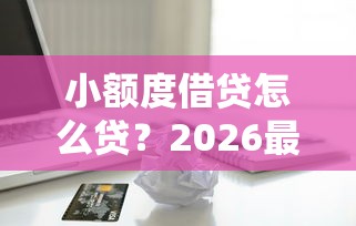 小额度借贷怎么贷？2026最新测评10个十八岁贷款秒过平台