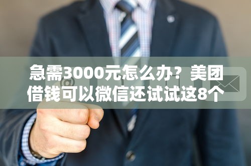 急需3000元怎么办？美团借钱可以微信还试试这8个无门槛平台