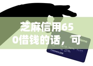 芝麻信用650借钱的话，可以看看这6个小微贷款平台