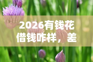 2026有钱花借钱咋样，差20000元就选这7个平台