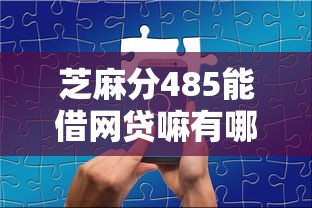 芝麻分485能借网贷嘛有哪些？分享5个最新贷款口子