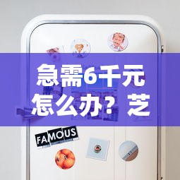 急需6千元怎么办？芝麻版贷款正规不试试这6个无门槛平台