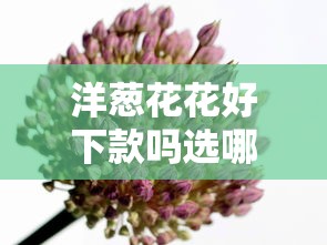 洋葱花花好下款吗选哪个平台？8个最快的借钱平台是什么推荐