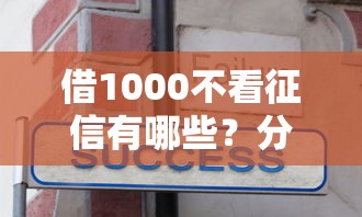 借1000不看征信有哪些？分享7个高炮口子2025最新下款