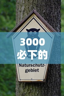 3000必下的贷款？看看这8个靠谱的借款软件怎么样