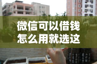 微信可以借钱怎么用就选这8个1千元不查询征信的贷款平台