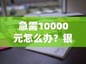 急需10000元怎么办？银川可以借钱的地方推荐试试这6个无门槛平台