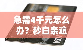 急需4千元怎么办？秒白条逾期被拒试试这7个无门槛平台