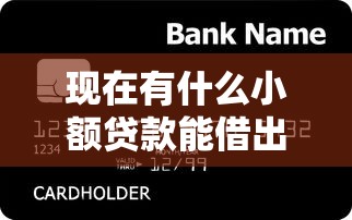 现在有什么小额贷款能借出来钱的软件？十大无视风控5000必下口子推荐